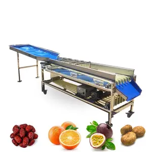 Classificador de frutas, máquina de classificação de frutas cítricas, tamanho de batata, azeitonas