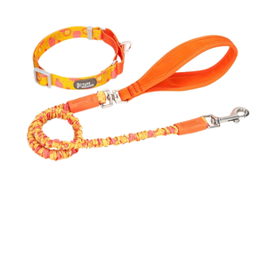 <span class=keywords><strong>Collar</strong></span> y Correa de Nailon Ajustable de Lujo para Mascotas, con Estampado de Huellas de Patas, Hebilla de Liberación Rápida, Diseño de Dibujos Animados - Product Image 1