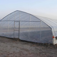 Serre tunnel à simple portée de petite taille à faible coût avec couverture en PE protégée contre les UV, 12 fenêtres et moustiquaires enroulables pour la culture des champignons