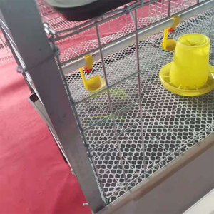Jaulas <span class=keywords><strong>de</strong></span> malla <span class=keywords><strong>de</strong></span> alambre galvanizado Great Farm para pollos <span class=keywords><strong>de</strong></span> engorde en granjas avícolas - Product Image 4