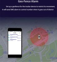 Approvisionnement direct usine : Traceur GPS SinoTrack ST905 TK905 pour usage automobile avec application et plateforme gratuites