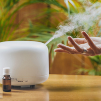Humidificateur portable 500ml diffuseur d'huile essentielle diffuseur d'huile essentielle humidificador