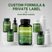 Capsules d'extrait de feuilles de Moringa en gros – Approvisionnement en vrac – Superaliment Moringa Oleifera – Complément de soutien immunitaire pour le bien-être des adultes