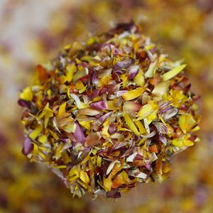 1kg di Gomphrena secca singola o mista/Helichrysum/Gomphrena Globosa fiorisce coriandoli da sposa di petali di fiori di frutta fragola - Product Image 1