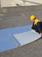 Modern kendinden yapışkanlı su geçirmez bant butil kauçuk membran PE EPDM malzeme JINHAI marka 3-Year garanti rulo çatı bodrum için