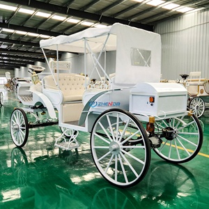 Carro de turismo eléctrico de estilo simple y color blanco a precio de fábrica, clásico vagón europeo cubierto. - Product Image 3