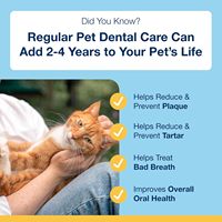 Complément alimentaire entièrement naturel pour animaux de compagnie pour réduire la plaque et le tartre, avec un mélange d'herbes et des probiotiques, rafraîchisseur d'haleine, soins bucco-dentaires pour chats