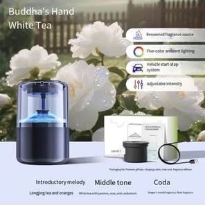 2025 nuovo modello di Smart Cloud nebuly Scenic View Car <span class=keywords><strong>diffusore</strong></span> di aromi, Spray automatico Aroma automobilistico di fascia alta - Product Image 4