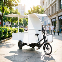 Vélo électrique à trois roues pour adultes, capacité de charge lourde, tricycle de fret, vélo-camion, fourgonnette de transport, vélo cargo, e-bike