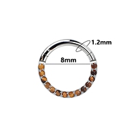 Nouveau design, anneau de nez en pierre, titane ASTM F136, 16G, segment articulé, anneaux à clic, bijoux de piercing corporel, boucles d'oreilles