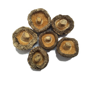 Mất Nước <span class=keywords><strong>Shiitake</strong></span> Nấm Chế Biến AD Khô Champignon Chất Lượng Tốt Nhất - Product Image 3