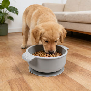 Nuevo Diseño de Comedero Redondo para Perros Medusa, Comedero Lento de Silicona, Comedero Personalizado Único y Bonito para Mascotas con Ventosa - Product Image 1