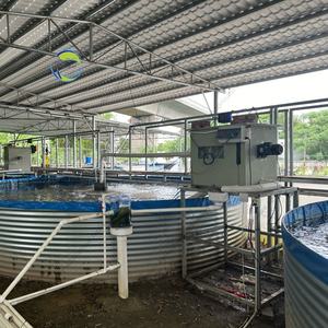 Système d'aquaculture à recirculation compact commercial, mini kit complet pour l'hydroponie, la <span class=keywords><strong>pisciculture</strong></span> et l'élevage de poissons - Product Image 3