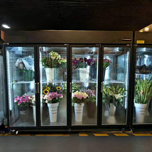 Réfrigérateur professionnel pour fleuristes à cinq portes, système de refroidissement par air sans givre, éclairage LED, stockage pour fleurs - Product Image 1