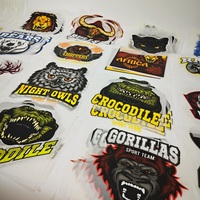 Conceptions de mode personnalisées en gros, impression de logo en plastisol, étiquettes autocollantes par transfert de chaleur pour DTF, presse prête pour vêtements chauds