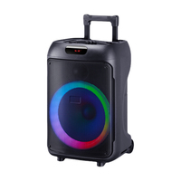 Haut-parleur karaoké portable sans fil pour l'extérieur radio FM basse lumière LED DJ Party BT woofer actif fort chariot Haut-parleur