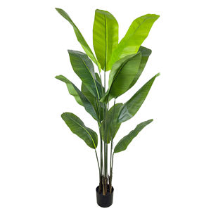 Albero di Banano Artificiale Realistico 180cm, Pianta Bonsai Finta di Banano del Viaggiatore per Decorazione Interna Casa e Ufficio - Product Image 1