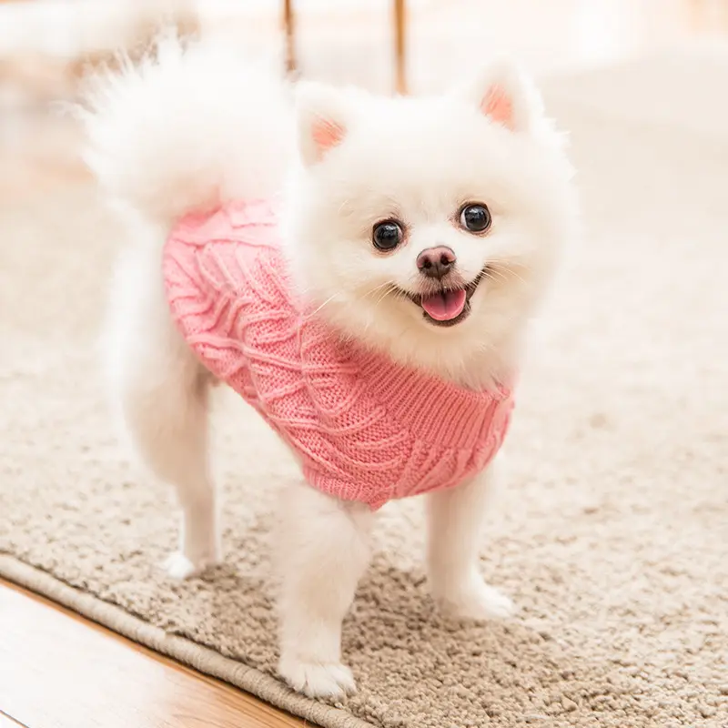 Nuovo piccolo di colore lavorato a maglia maglione del cane di autunno e l'inverno del gatto abbigliamento