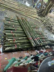 Cannes en bambou personnalisées | Usine directe du Vietnam | Traité pour une utilisation en pépinière - Product Image 4