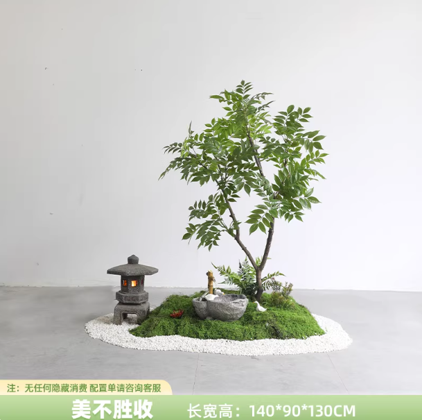 สวยงามน่าทึ่ง