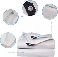 Bâche en PE, bâche en polyéthylène avec protection UV, tissu plastique en feuille de taille standard pour l'agriculture/l'industrie