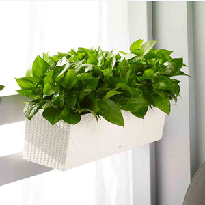 Pots de fleurs rectangulaires en plastique, <span class=keywords><strong>grand</strong></span> format en rotin, colorés pour plantes murales, pour le jardinage de la maison, offre spéciale, - Product Image 3