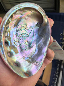 GGN-Concha de Abalón Triturada de Color Natural para Decoración del Hogar, Concha de Tritón, Corona de Reina del Océano, Abalón Crudo, Concha de Mar, - Product Image 3