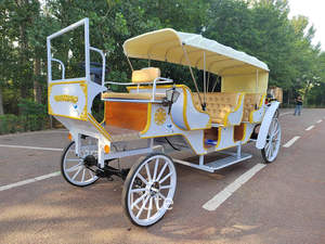 Calèche de mariage de style européen, calèche de tourisme panoramique, calèche royale à toit ouvert pour 6 passagers - Product Image 4