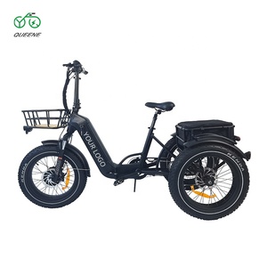 QUEENE/48V 750W three wheel Passenger electric tricycles 3 wheel cargo trikes fat tire electric bikes three wheels for adult