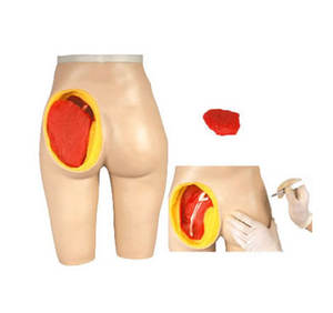 Modèle avancé d'injection musculaire fessière et de structure anatomique - Modèle d'enseignement médical et de formation - Product Image 1