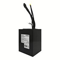 Paquete de Baterías de Litio AMORGE 72V 28AH 170AMP con BMS ANT Bluetooth
