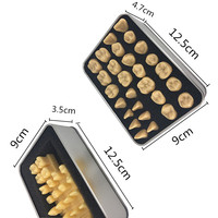 Modelo Anatómico Dental de Resina para Práctica de Estudiantes, Enseñanza de Tallado Dental, Comparación de Fissuras y Caries YOUYA DENTAL Easy
