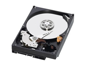 Disco Duro Interno WD10EZRZ de 1.0TB SATA, 64MB de Caché, WD10EZRX de 3.5 Pulgadas para Actualización de Almacenamiento - Product Image 4
