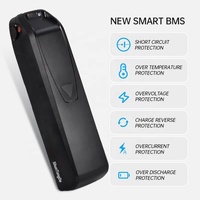 Batterie au lithium Hailong 52 cellules 18650 14Ah/13Ah pour remplacement de vélo électrique 36V/48V, chargeur de vélo électrique 30A BMS 250W-1000W