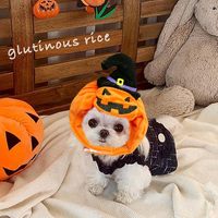Chapeau de citrouille d'Halloween avec chapeau de sorcière en polaire pelucheuse pour chat et chien, idéal pour les fêtes et les accessoires photo, pour animaux de compagnie de petite, moyenne et grande taille