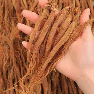 Бесплатный образец 6 лет Panax нарезанный Корея Красный Женьшень Корея мед красный женьшень - Product Image 2