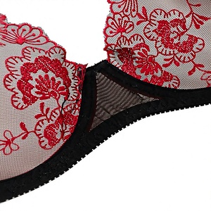 Wholesale Women Underwire Lace Bra and Thong 2-Piece <b>Set</b> 3D Embroidered Breathable Thin Sheer Mesh Red <b>Sexy</b> Lingerie <b>Set</b> OEM ODM - Product Image 4