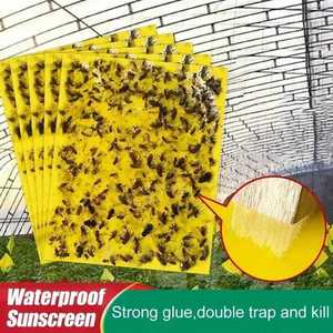 Paquete de Trampas Adhesivas para Insectos, Súper Adhesivas y de Captura Rápida para Insectos Voladores de Plantas - Product Image 6