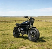 Scooter tout-terrain à deux roues Black Warrior 3000W haute performance avec batterie 30AH, livraison rapide et fiable depuis l'entrepôt américain