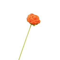 Rose orange