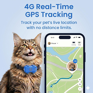 Smart Multifunctional Animal <b>Tracking</b> <b>Device</b> Mini Wireless Geo Fence App Control 4G Gps Cat Dog Pet Tracker Collar - Product Image 6