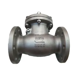 Stainless Steel Ductile Iron CF8 CF8M Single Disc Door Flanged Swing Type Check Valve