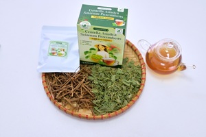 Mélange de tisanes de Centella Asiatica (petite feuille) et de Solanum Procumbens, séché à froid, 2g, boisson santé premium avec 40 sachets de thé, Vietnam - Product Image 3