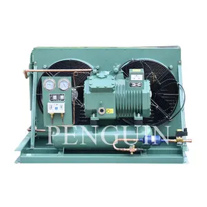 Factory Direct Sale 10 HP Low Noise Refrigeration Semi Hermetic Reciprocating Compressor Air Cooled Freezer Condensing Unit