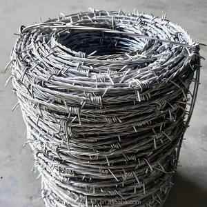 <span class=keywords><strong>Alambre</strong></span> <span class=keywords><strong>de</strong></span> Púas Galvanizado <span class=keywords><strong>de</strong></span> <span class=keywords><strong>Calibre</strong></span> 14 para el Mercado <span class=keywords><strong>de</strong></span> Argelia, Rollo <span class=keywords><strong>de</strong></span> 20 kg y 25 kg <span class=keywords><strong>de</strong></span> <span class=keywords><strong>Alambre</strong></span> GI para Uso Industrial y Agrícola - Product Image 6