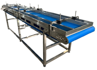 Ligne de production de déshydratation d'ail entièrement automatique en acier inoxydable avec roulement de moteur, comprenant machine de broyage, de pelage, de tri et de découpe