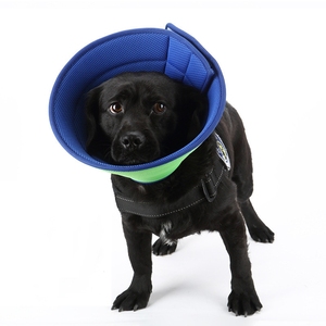 Yükseltilmiş ayarlanabilir küçük boy Pet köpek koni yumuşak nefes kurtarma yaka cerrahi kurtarma için Pet bakım aksesuarı - Product Image 1
