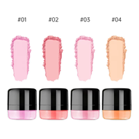Logo personnalisé fard à joues poudre fard à joues longue durée marque privée étanche végétalien Palette maquillage beau fard à joues Pigment cosmétiques