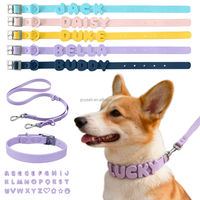 Collier pour chien personnalisé à faire soi-même avec nom, laisse pour chien en PVC imperméable, colliers ajustables pour animaux de compagnie avec breloques lettres