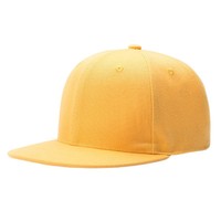 Casquettes Hip-Hop à Visière Plate en Polyester Brodé Personnalisé avec Logo, Style Américain, Chapeaux de Soleil Tendance